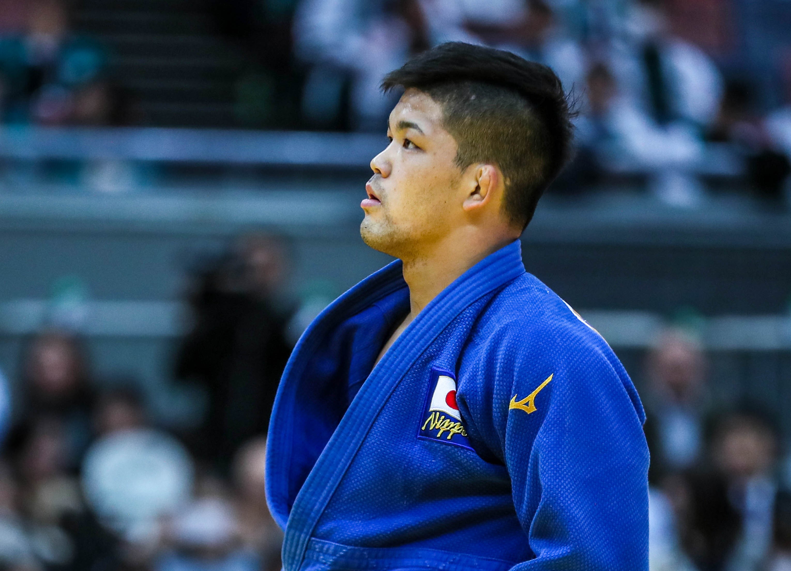 2019 Preview / IJF.org